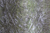 Spango fibreglass roof work